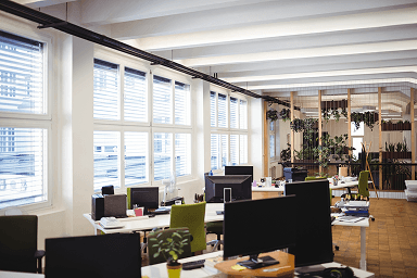 Web design and development case study